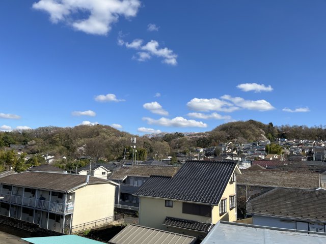 エクセルハイム平山0403号室 展望
