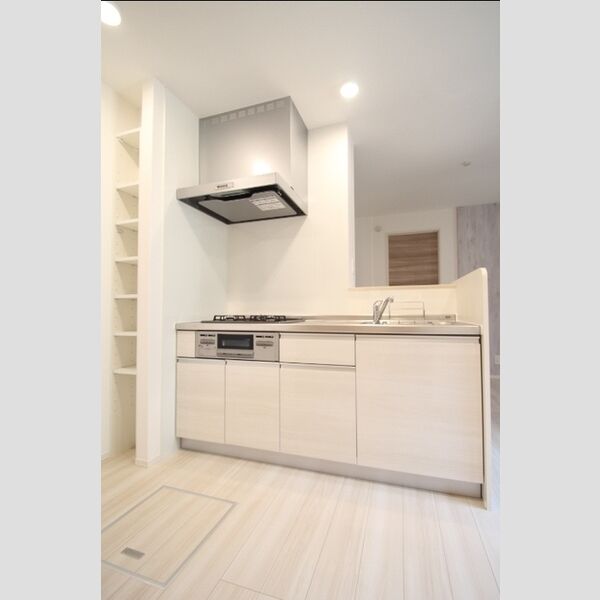 ノーバヤ　カナヤ101号室 システムキッチン