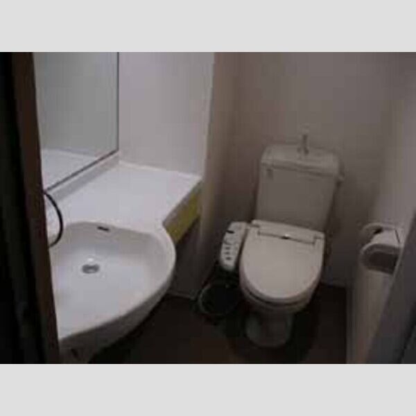 氷川台ヒルズ205号室 洗面所