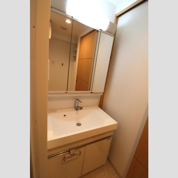 Rising　Place　Kameido1808号室 洗髪洗面化粧台