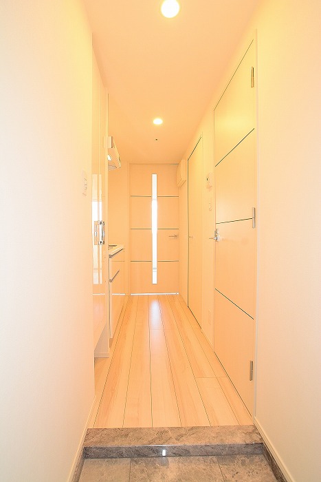 ステージグランデ東池袋駅前3階 玄関