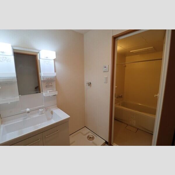 グランメール北松戸101号室 洗髪洗面化粧台