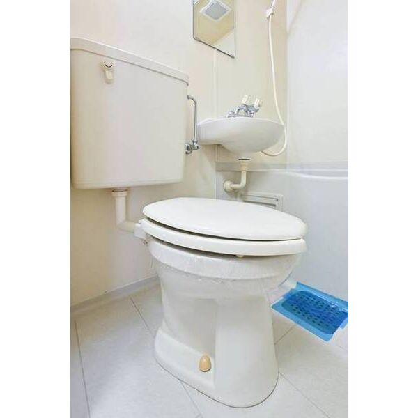 カーサ鵠沼0206号室 トイレ