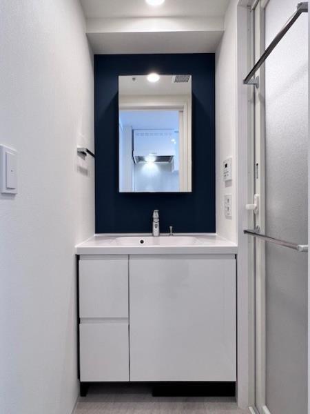 Ｂｒｉｌｌｉａ　ｉｓｔ　大井町10階 洗面