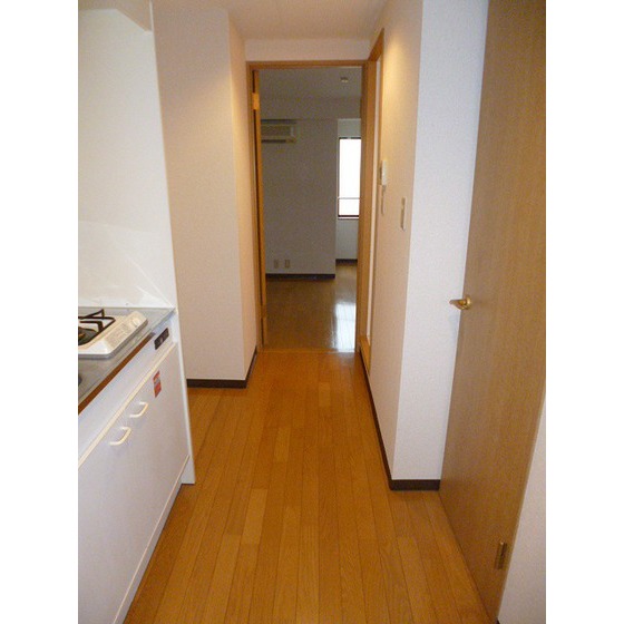 ＬＵＭＩＥＬＥ　Ｓ・ＫⅡ0304号室 廊下