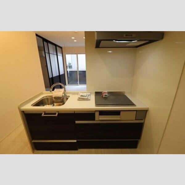 D-PRECIOUS武蔵野102号室 キッチン