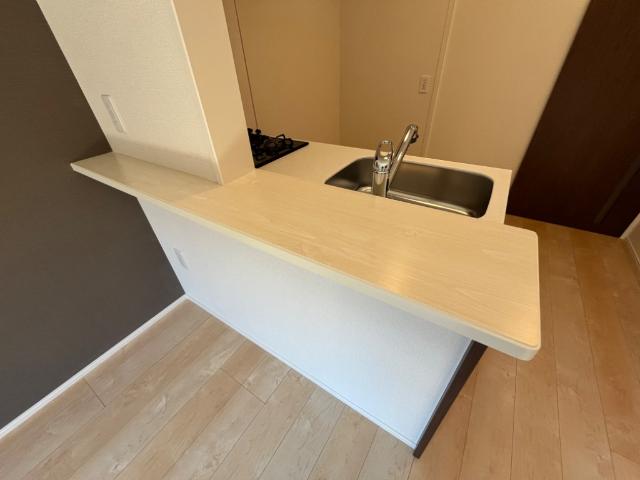 フリーダムファン101号室 キッチン