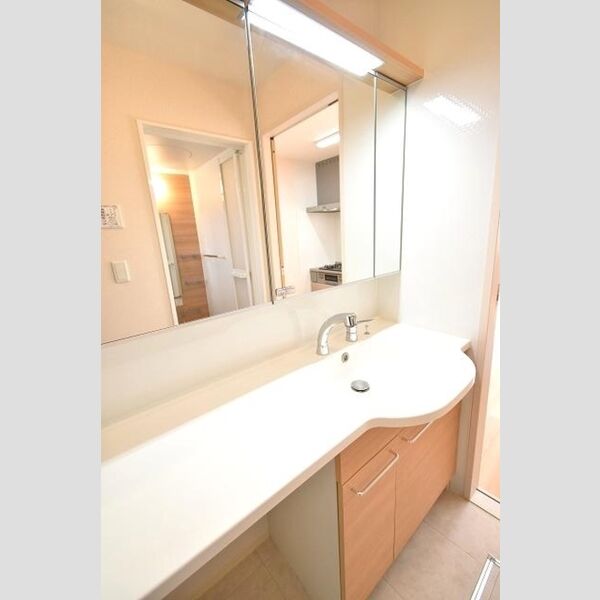 フルールベルテ二番館 洗髪洗面化粧台