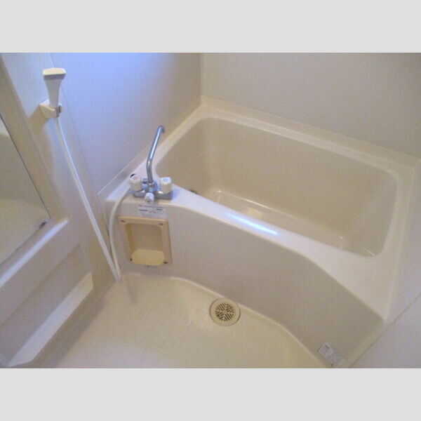 ドリームマウンテン　C101号室 浴室