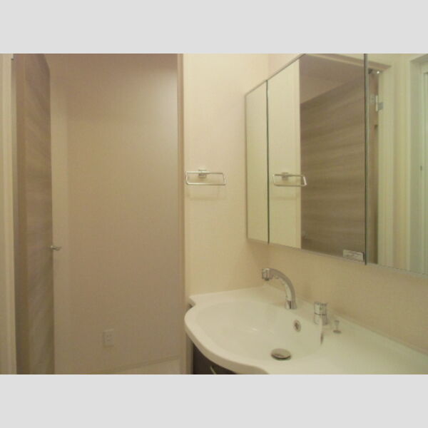 カメリアⅡ 洗面