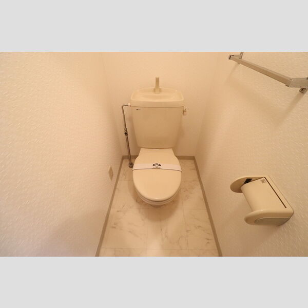 ヴァルキューレ大日207号室 トイレ