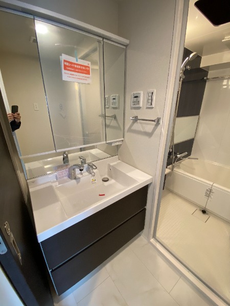 メゾンドアーク南大井10階 洗面