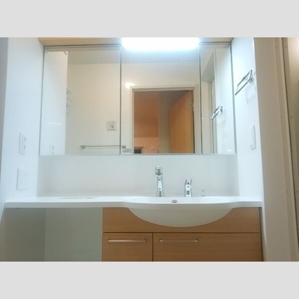エミナーレ302号室 洗髪洗面化粧台