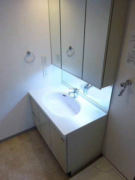 デュオ・スカーラ常盤台1004号室 洗面