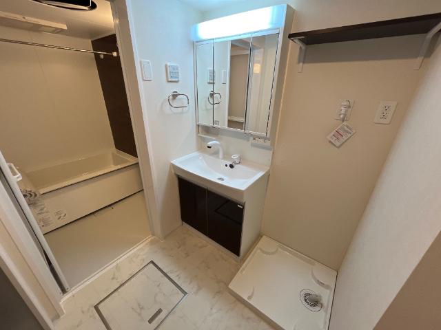 アルビコッカ103号室 洗面