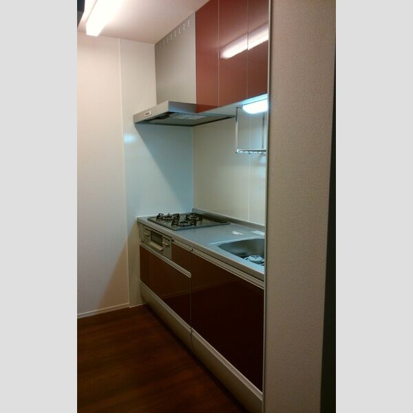 Carpe lux105号室 キッチン