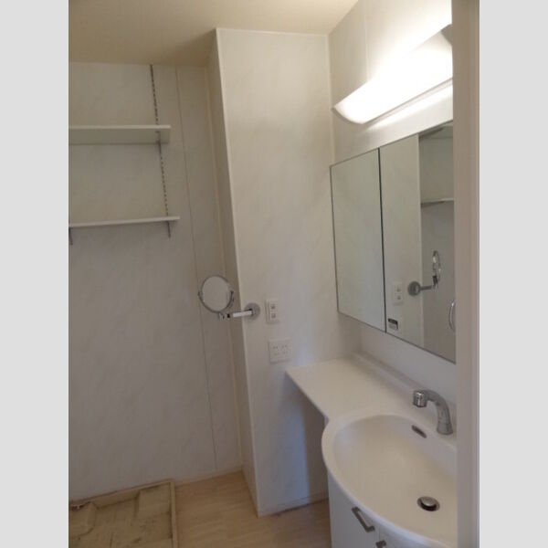 サウスユーコート201号室 洗面所