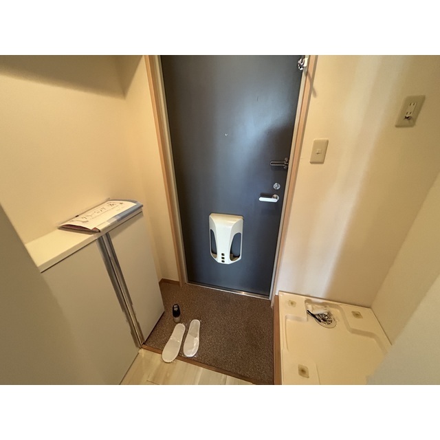 川口プラザＤ 玄関