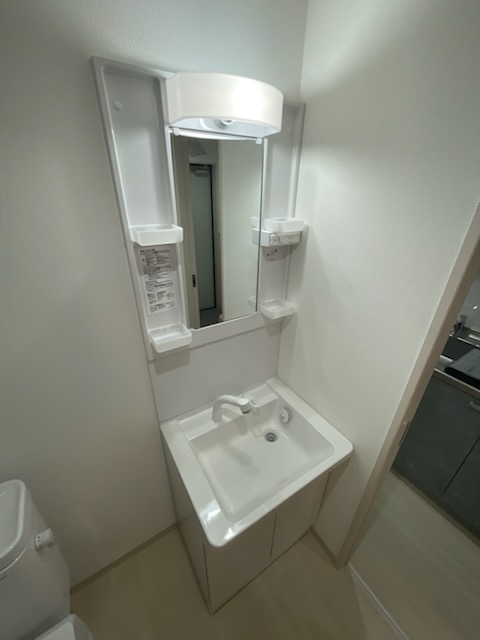 ブリーズ東船橋0104号室 洗面