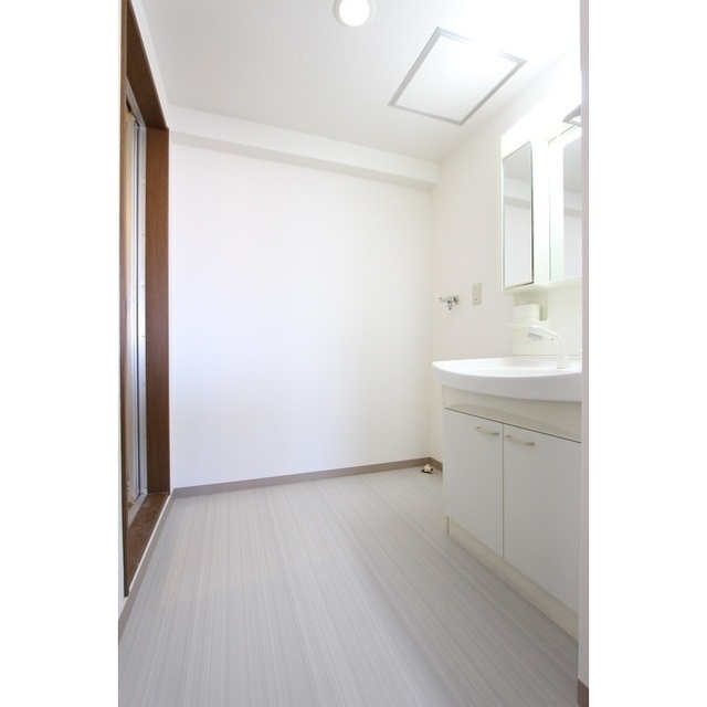 カサグランデ湘南306号室 洗面所