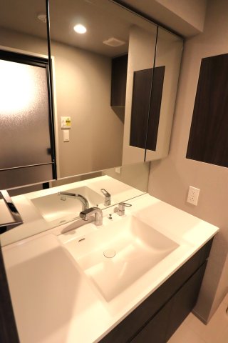 ジェノヴィア赤羽0702号室 洗面