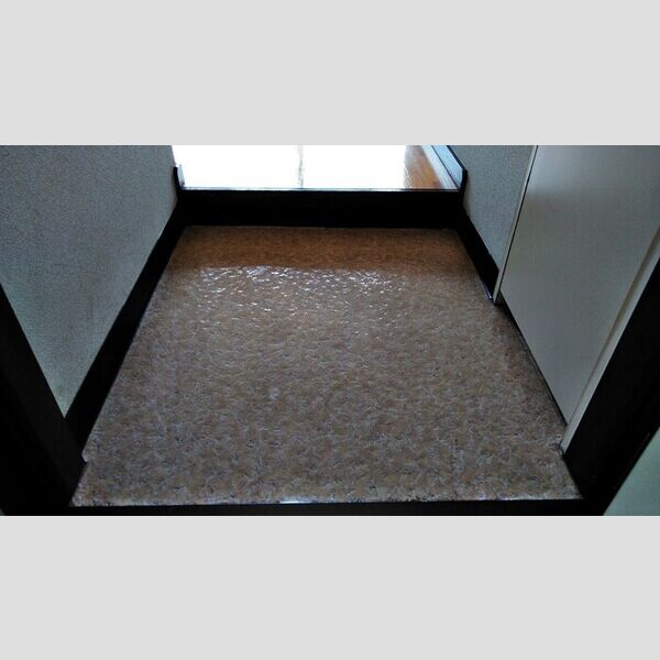 レディース・ビレッジ　ヨシトモ401号室 玄関