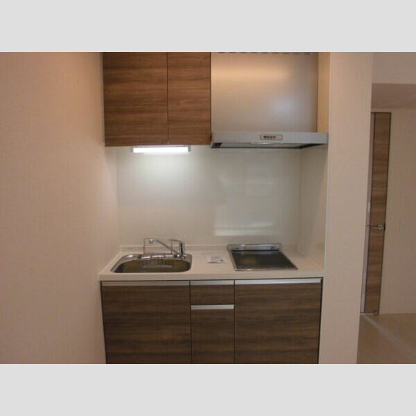 パーシモンⅢ203号室 システムキッチン