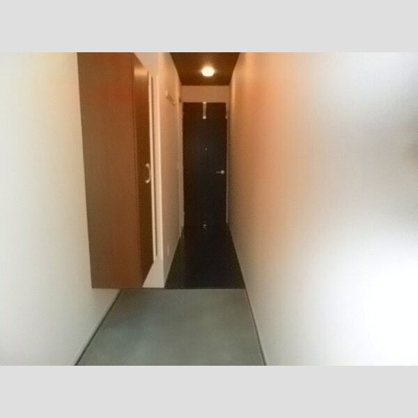 ラ・ベルデュール302号室 玄関　シューズボックス(トールタイプ)あり