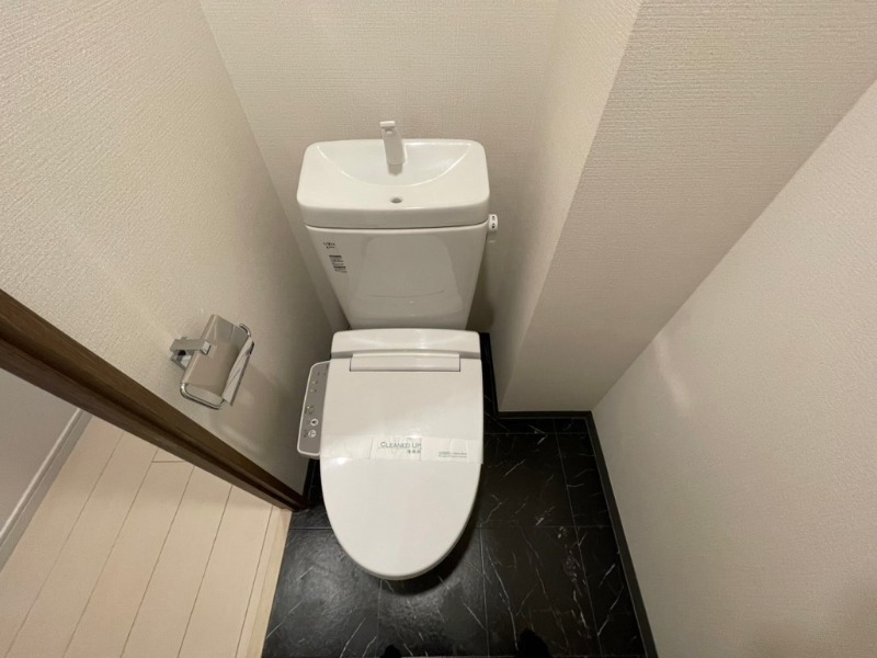 ドムス・スタイル銀座東6階 トイレ