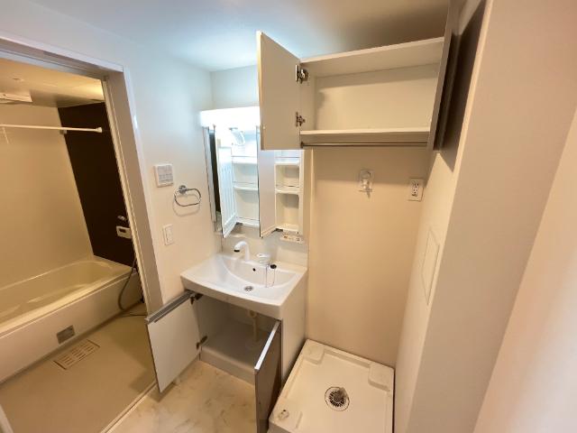 ルミナス　ケイポート201号室 洗髪洗面化粧台