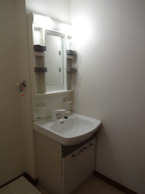ブリックス駒沢0101号室 洗面台