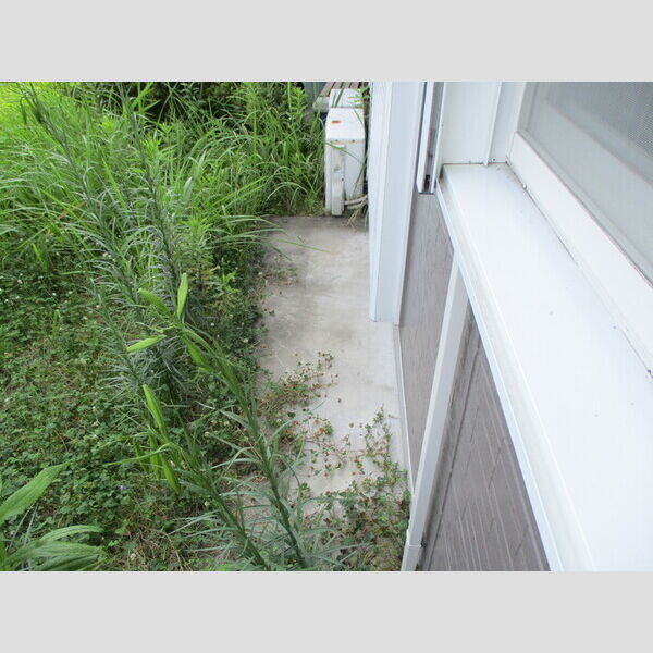 パセオみずほ台　ⅡABA103号室 ⅡA103