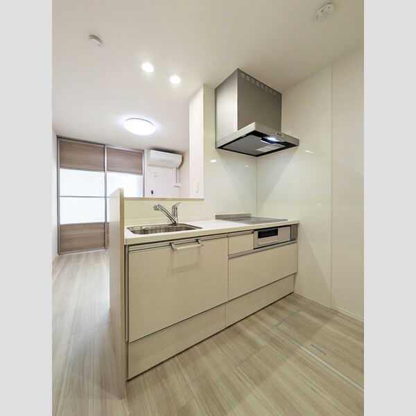 D-ROOM PREMIUM 多磨霊園駅103号室 キッチン