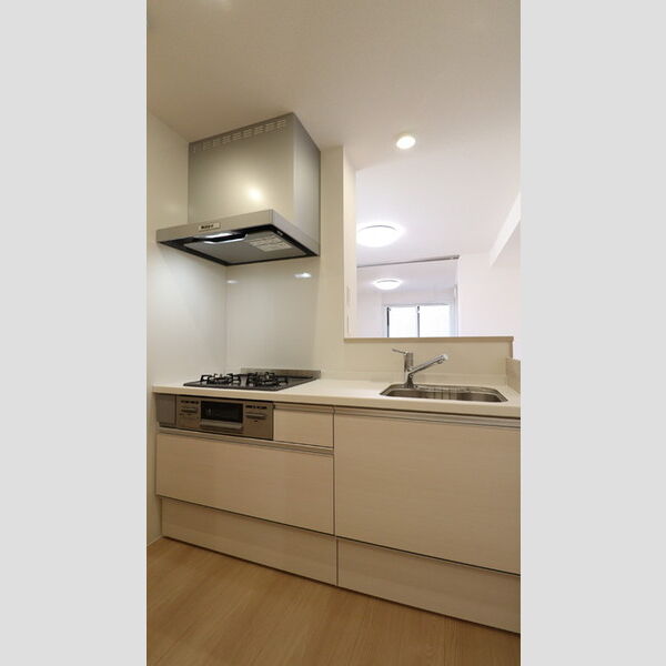 ビーネ北坂戸202号室 システムキッチン