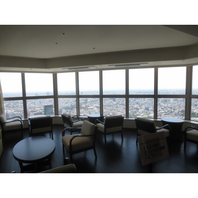 ザ・パークハウス西新宿タワー６０54階 部屋その他