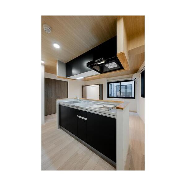 Ecoluxe202号室 キッチン