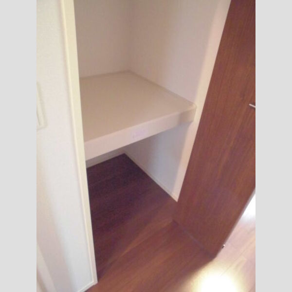 フェアリーシャトー303号室 物入