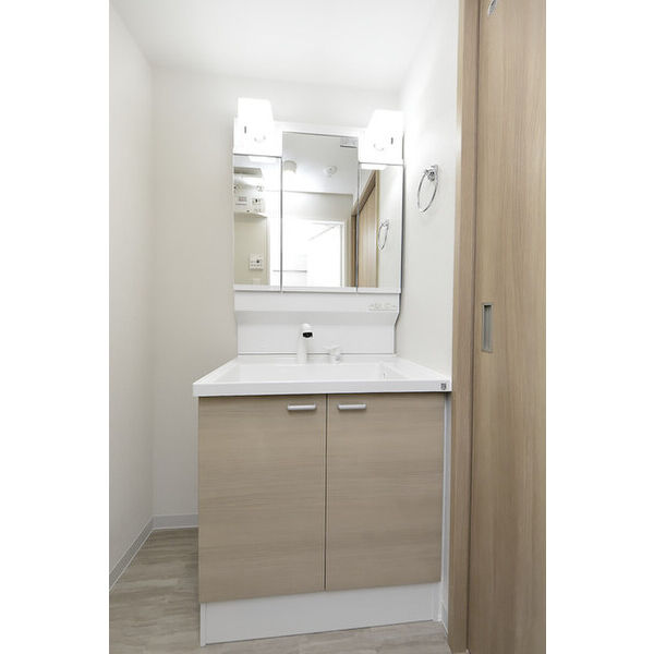 クリオ　ラモード学芸大学Ⅱ0304号室 洗面