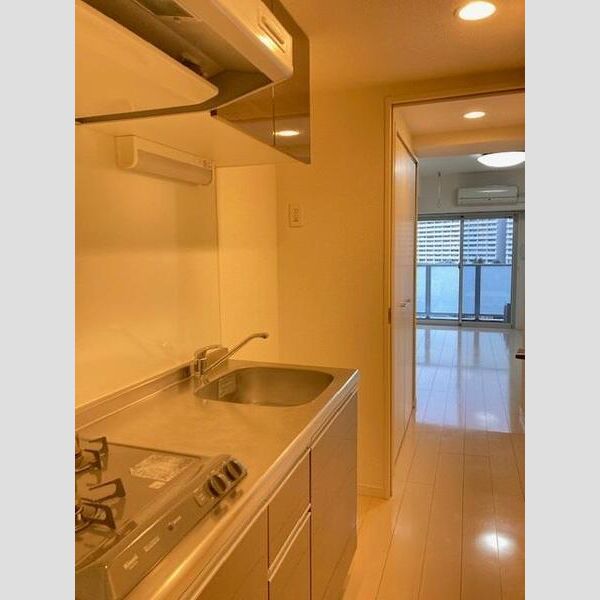 S-FORT川崎神明町301号室 キッチン