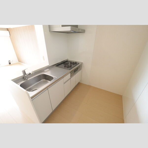 イルソーレ吉川美南　ロッソ106号室 同建物別部屋の参考画像