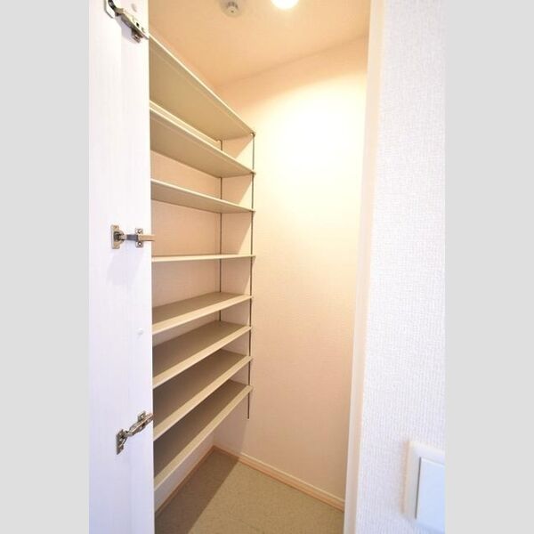 ロイヤルレジデンス本厚木 玄関前シューズボックス