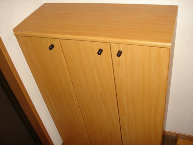 ルミナスワン 下駄箱