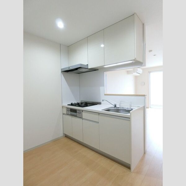 TERRACE　WELLNESS306号室 システムキッチン