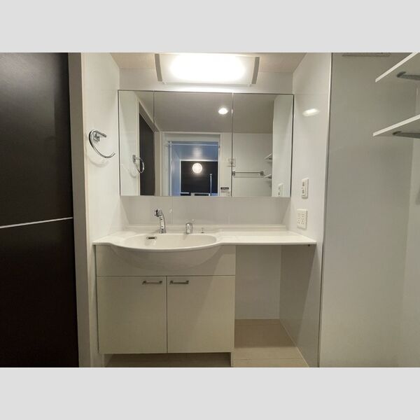 メゾン ラフィネ 洗面所