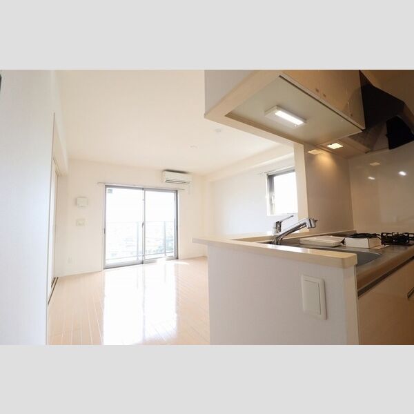 Callisto504号室 LDK