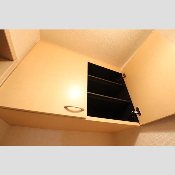 グランシャリオ105号室 同建物別部屋の参考画像