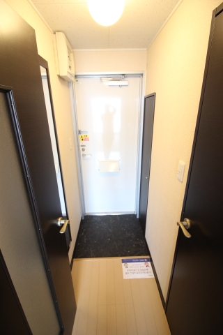 レオネクストドリーム金子303号室 部屋その他