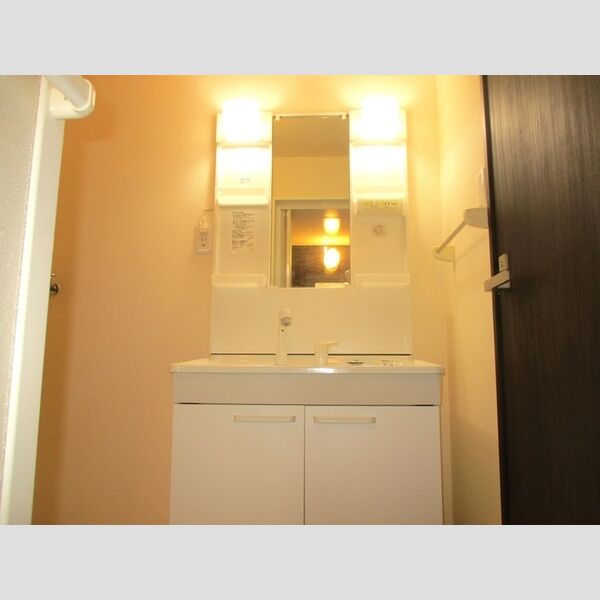 エミーハイツ 洗髪洗面化粧台