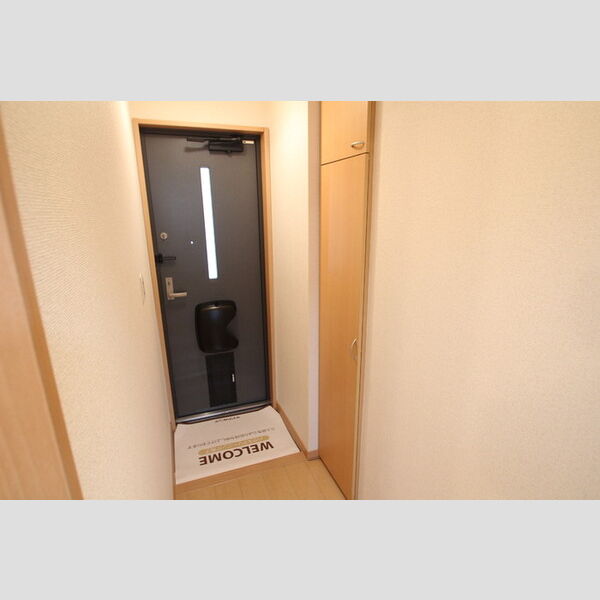 プランドール トールタイプシューズBOX