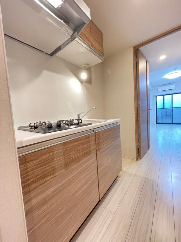 DIPS高田馬場駅前302号室 キッチン